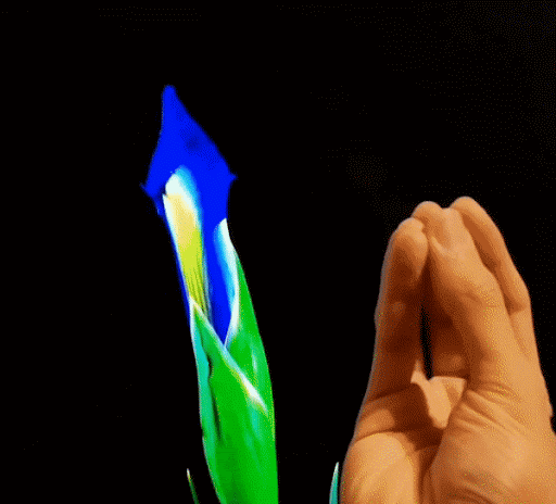 A flower blooming as the fingers open