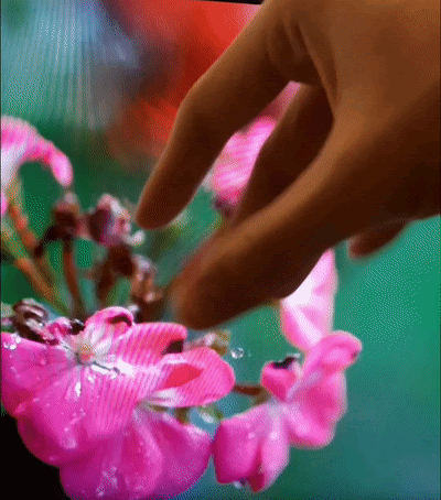 Watering a flower with a hand gesture